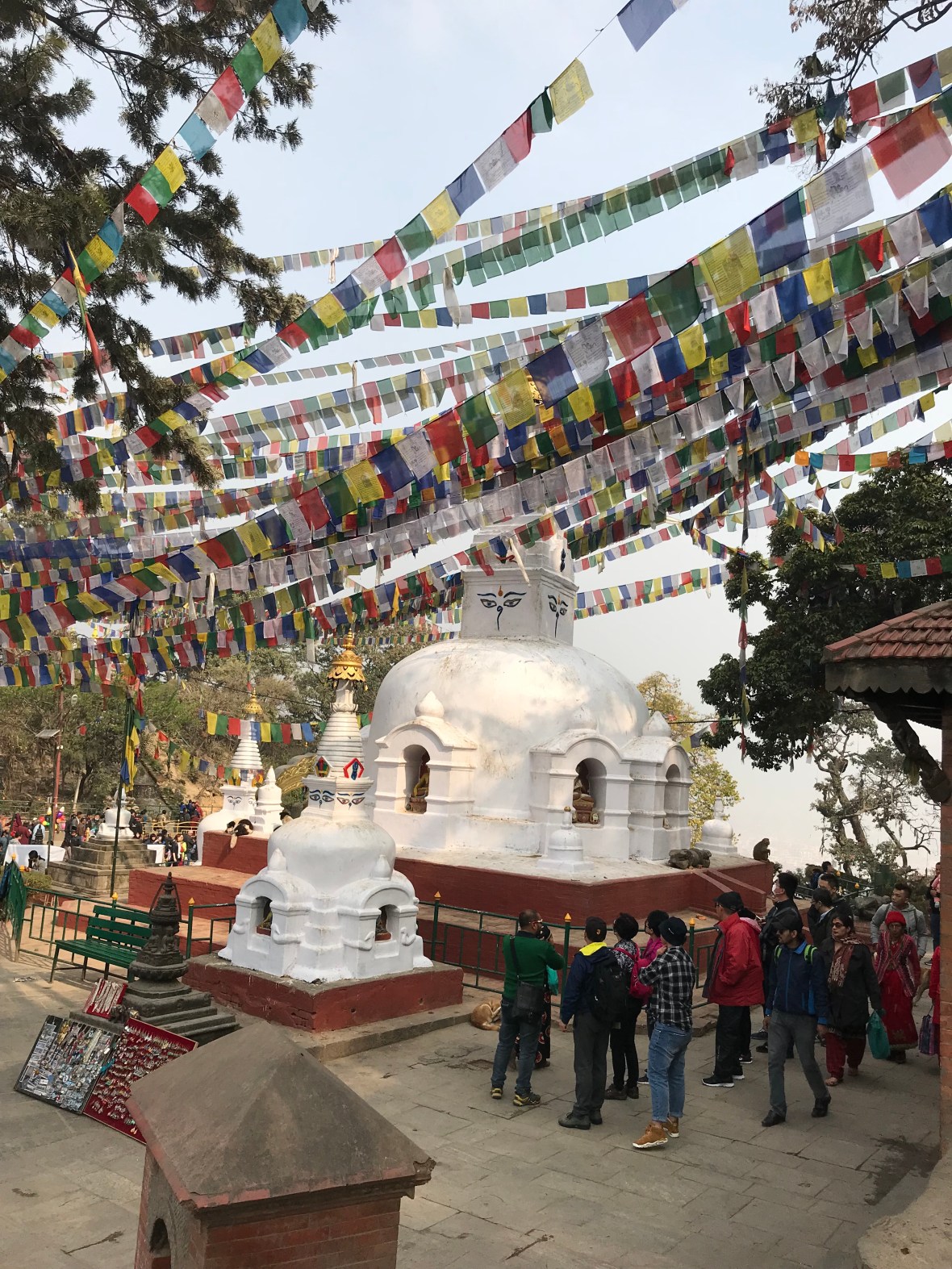 lcASX+dNQuCyGdRP03mugg