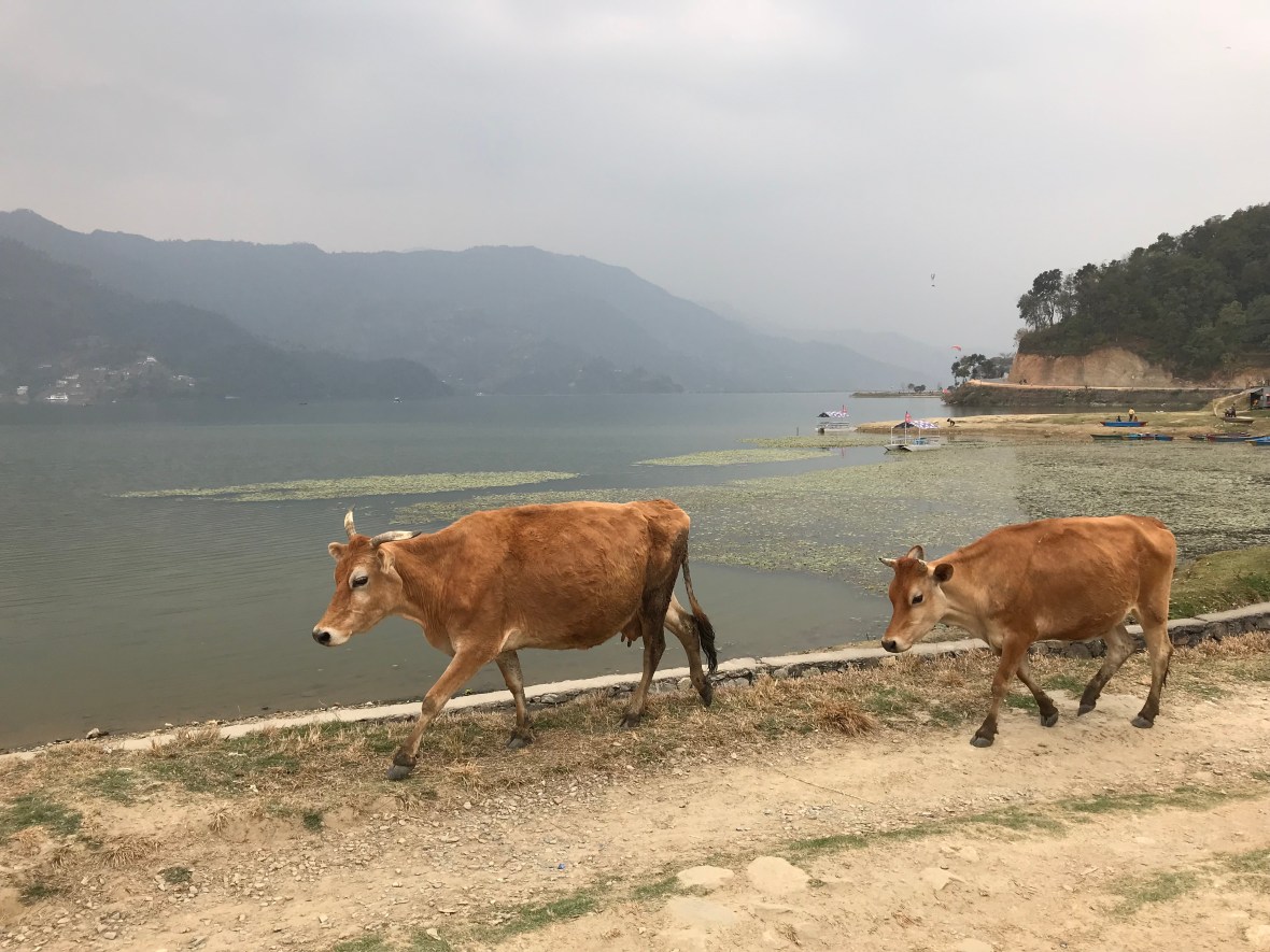 OCNchrRQRTyGmJFKx%Q7Lg