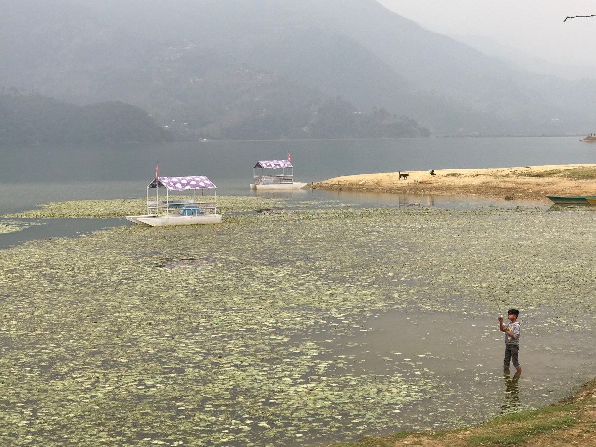 z9tUCmaKRbq+g5WohDIcMQ